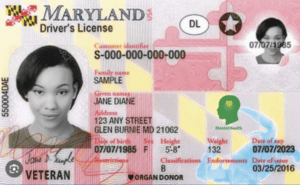 Screenshot 2024-03-07 at 12.24.27 PM